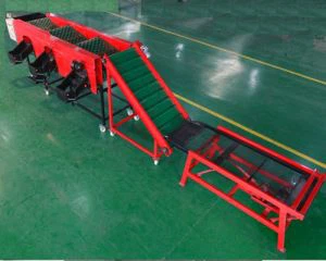 Maszyna do sortowania średnich cebuli